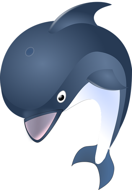 dolphin
