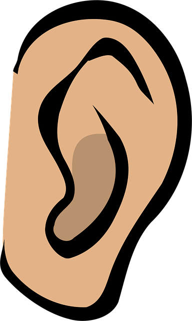 ear