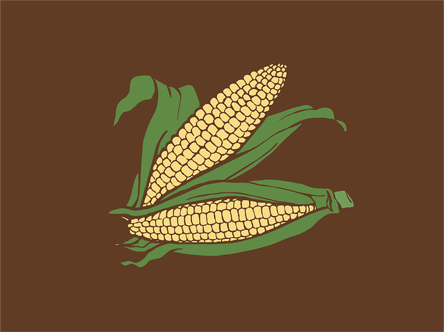 corn